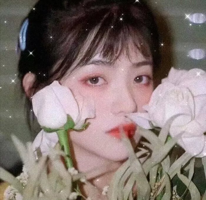 蜘蛛梦魇